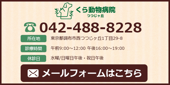 お問い合わせ 東京都調布市の動物病院なら くら動物病院つつじヶ丘 お問い合わせ 東京都調布市の動物病院なら くら動物病院つつじヶ丘